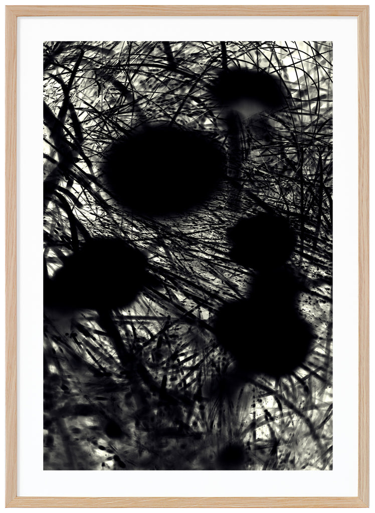 Black and white poster with black flowers. Oak frame. 