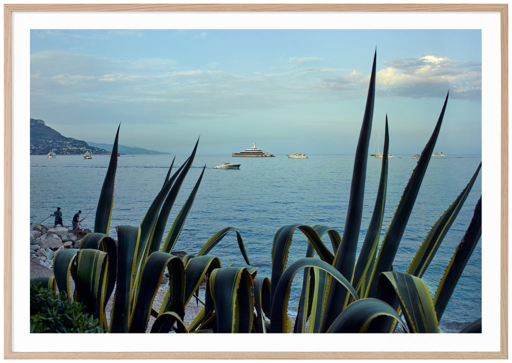 Cap Ferrat Fishing