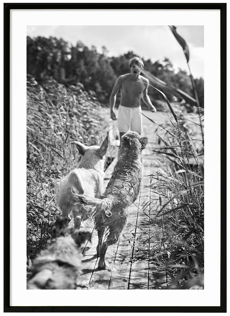 Black and white posters of playing dogs and boy on jetty with reeds. Black frame. 