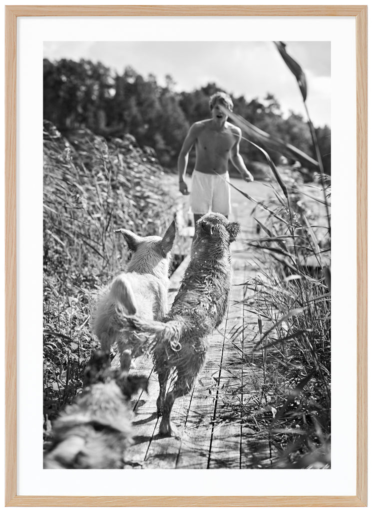 Black and white posters of playing dogs and boy on jetty with reeds. Oak frame. 