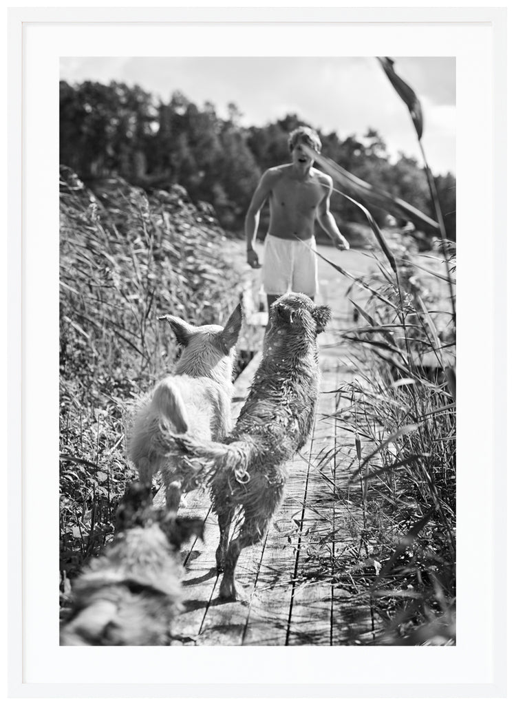 Black and white posters of playing dogs and boy on jetty with reeds. White frame. 