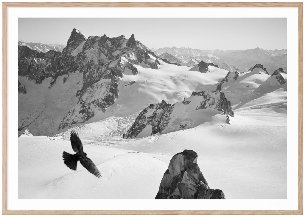 black and white photography in addition to the French Alps. Oak frame. 