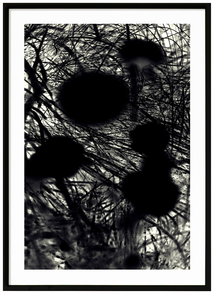 Black and white poster with black flowers. Black frame.