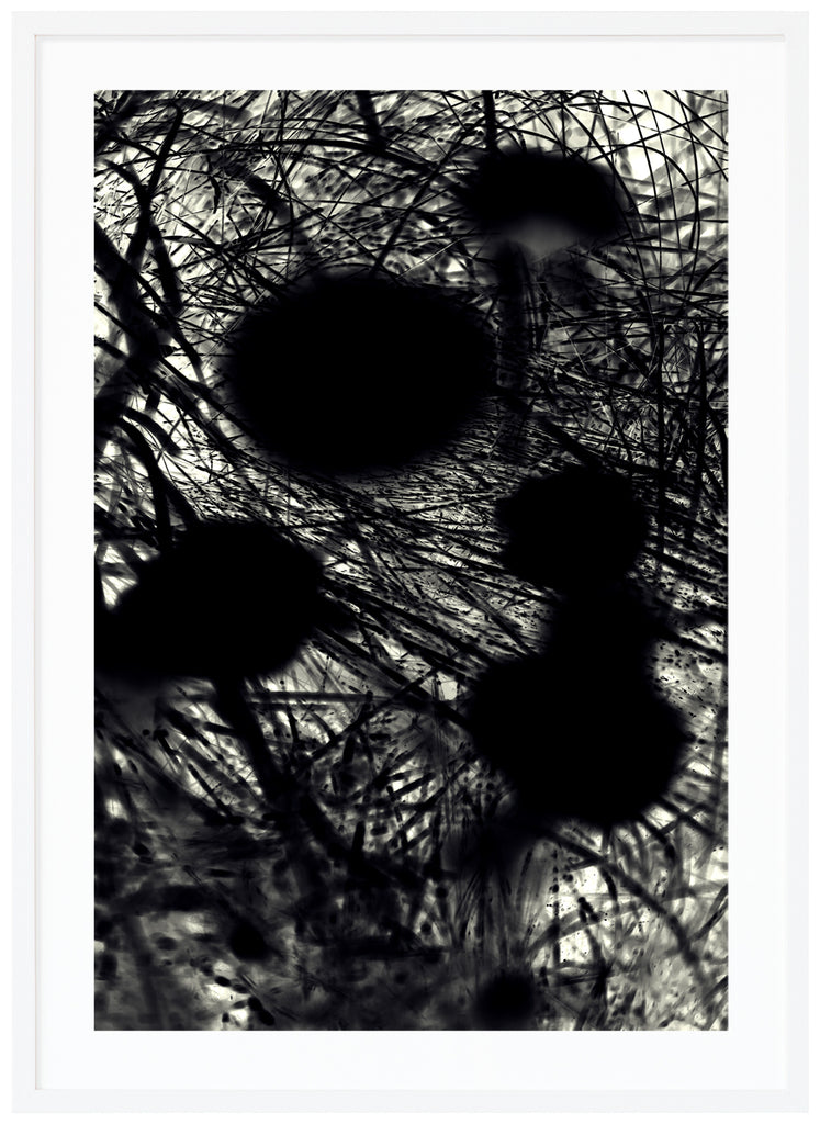 Black and white poster with black flowers. White frame. 
