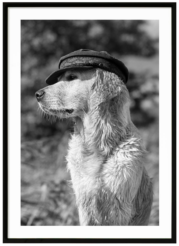 Black and white posters. Close-up of dog with hat looking to the side. Black frame. 