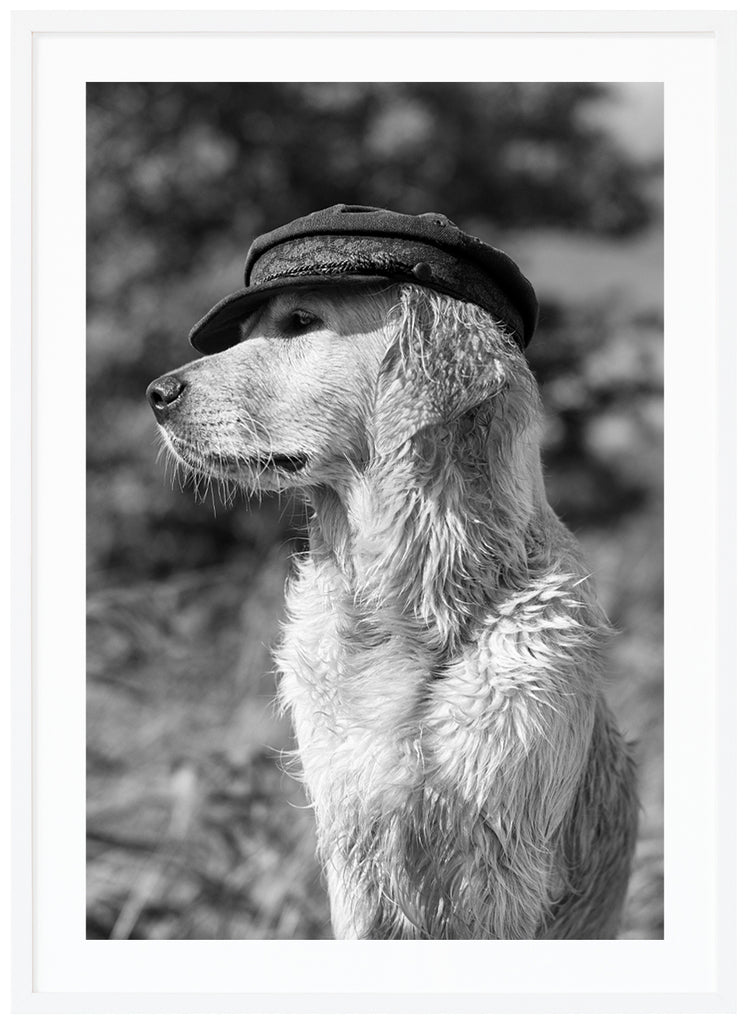 Black and white posters. Close-up of dog with hat looking to the side. White frame. 