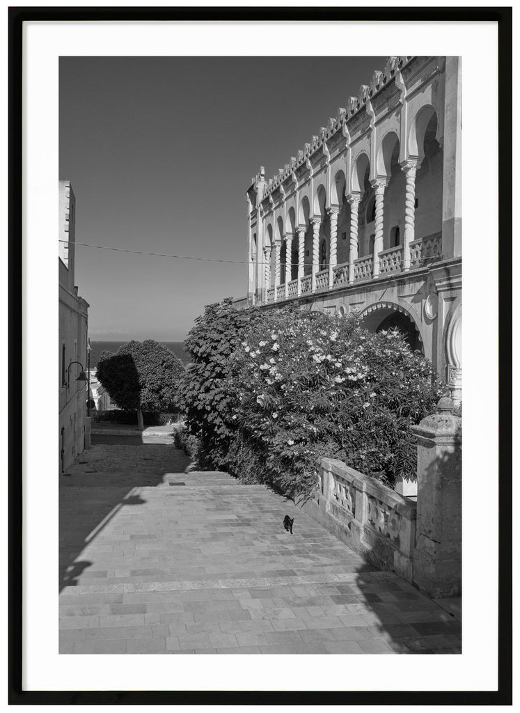 Black and white poster of cat on the way by a flowery bush and a large building. Black frame. 