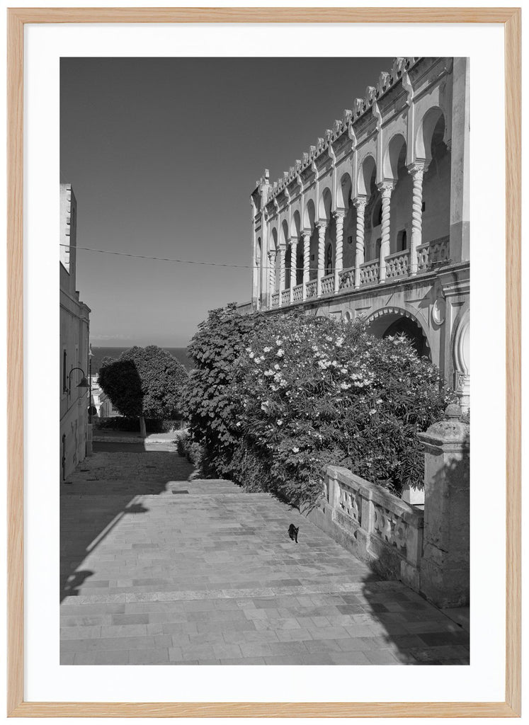Black and white poster of cat on the way by a flowery bush and a large building. Oak frame. 