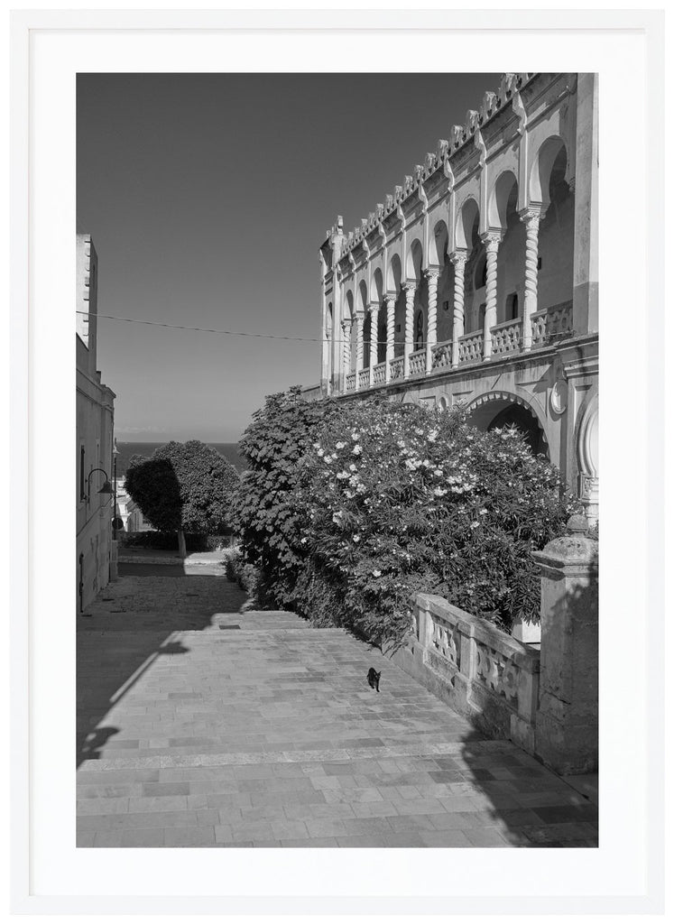 Black and white poster of cat on the way by a flowery bush and a large building. White frame. 