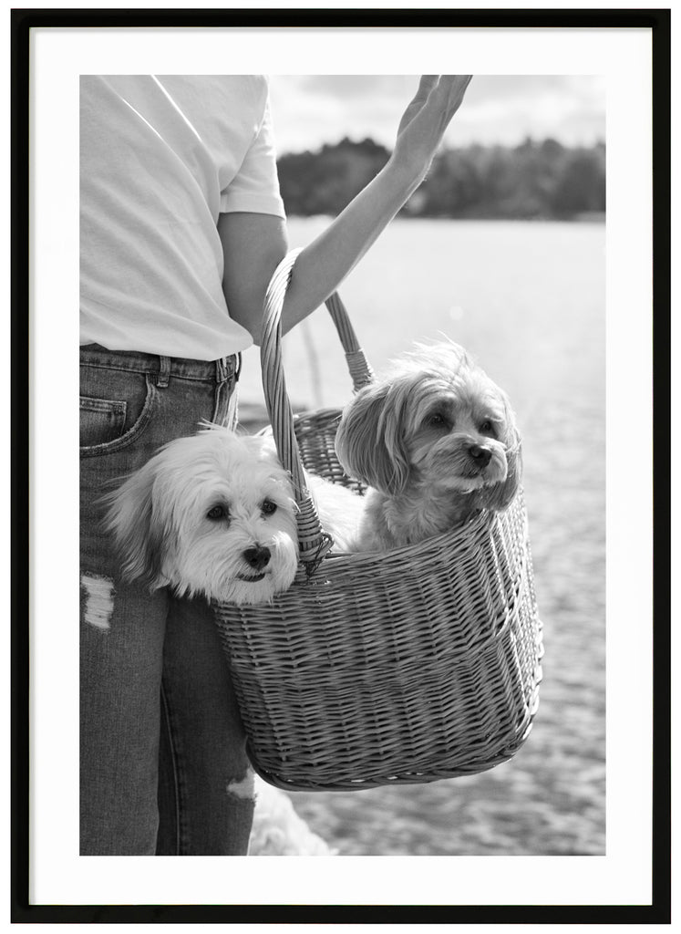 Black and white items of two dogs carried in a wooden basket. Black frame.