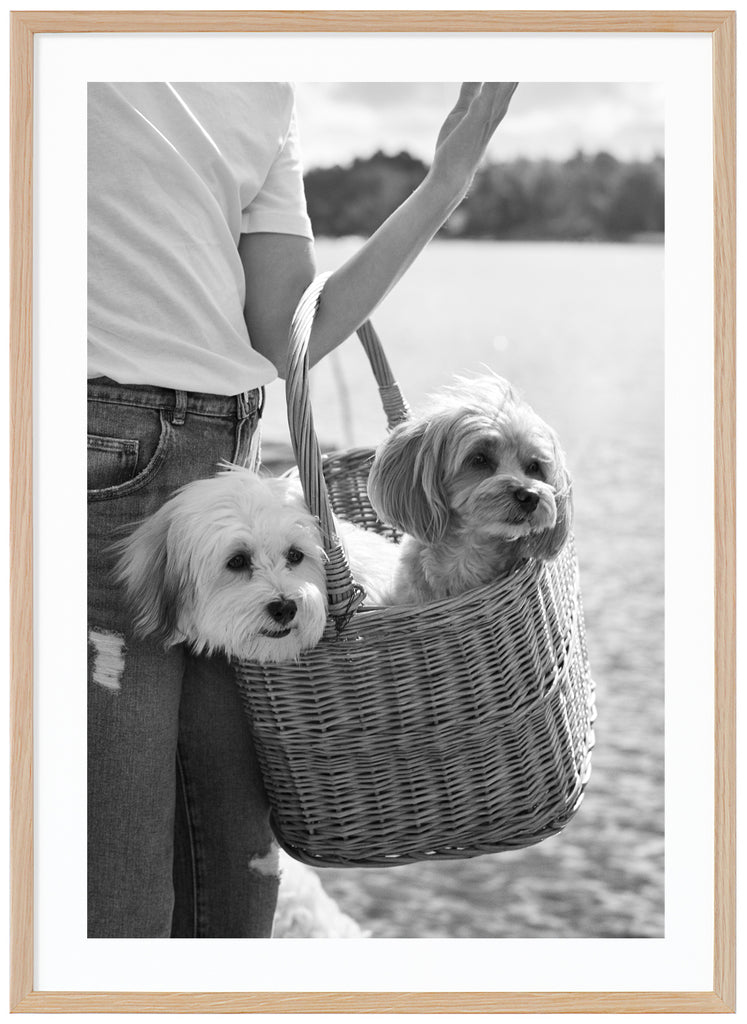 Black and white items of two dogs carried in a wooden basket. Oak frame. 