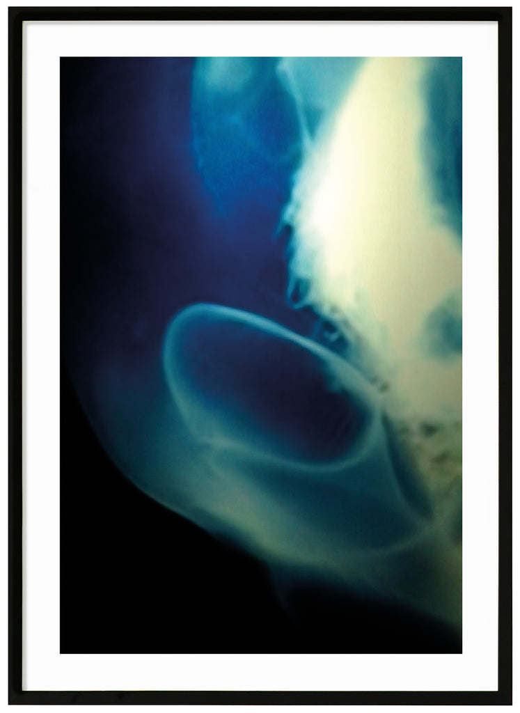 Abstract underwater items with the colors black different shades of blue light yellow and white. Black frame.