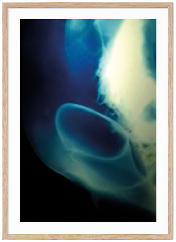 Abstract underwater items with the colors black different shades of blue light yellow and white. Oak frame. 