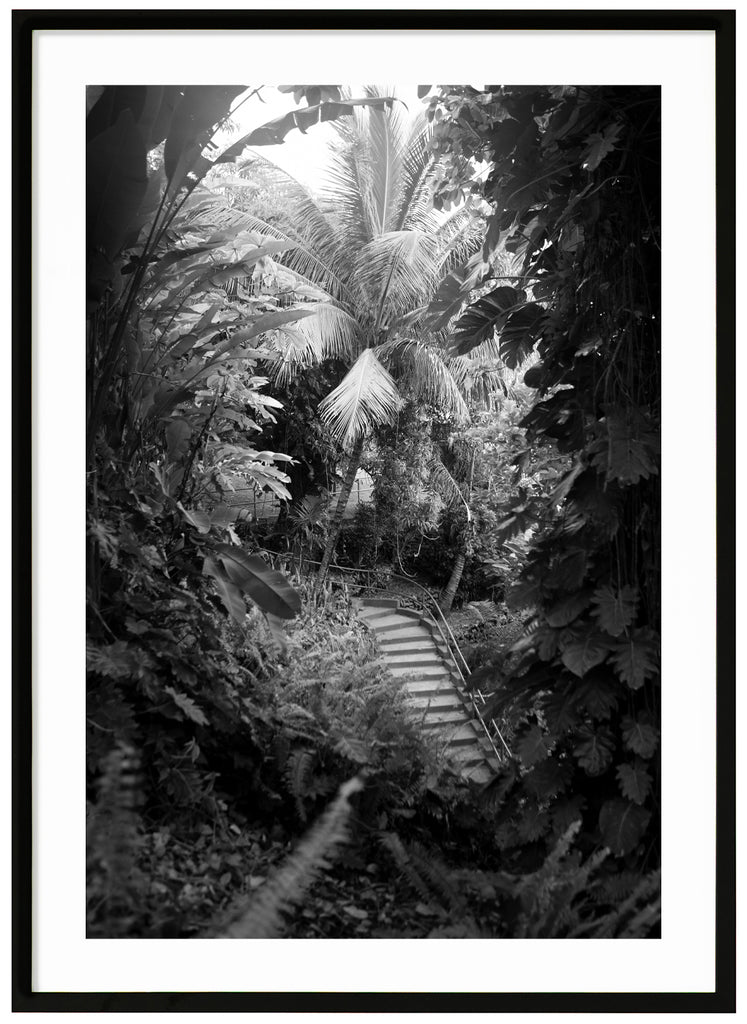 Jungle Steps