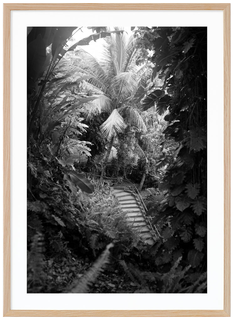 Jungle Steps