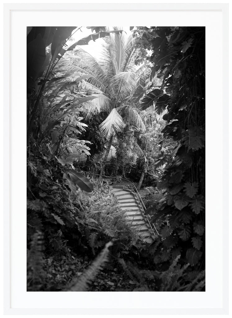 Jungle Steps