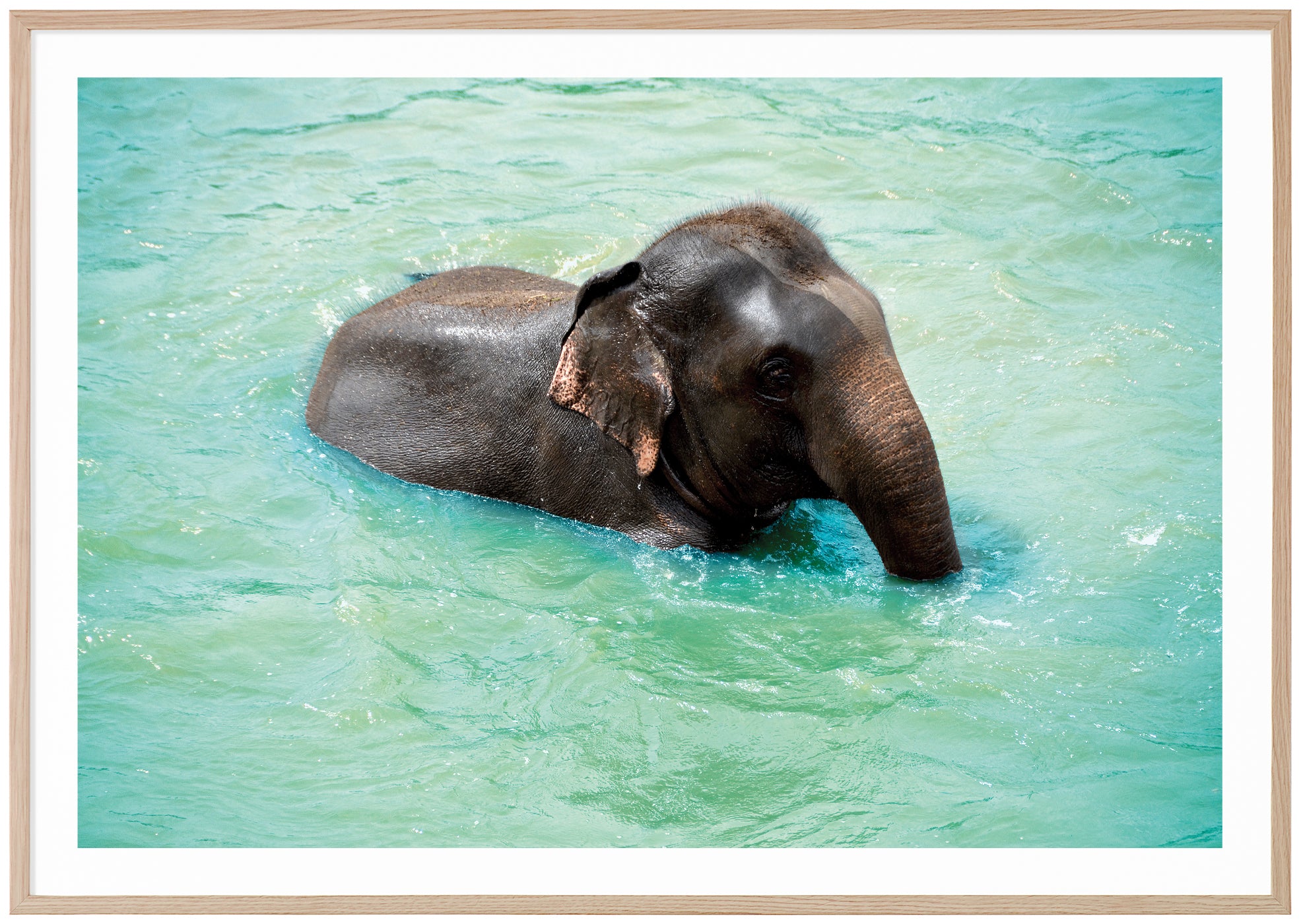 My baby best sale elephant