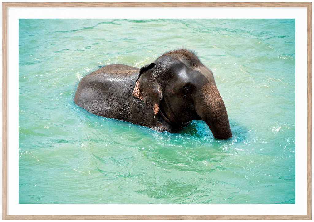 Posts of bathing baby elephant. Oak frame.