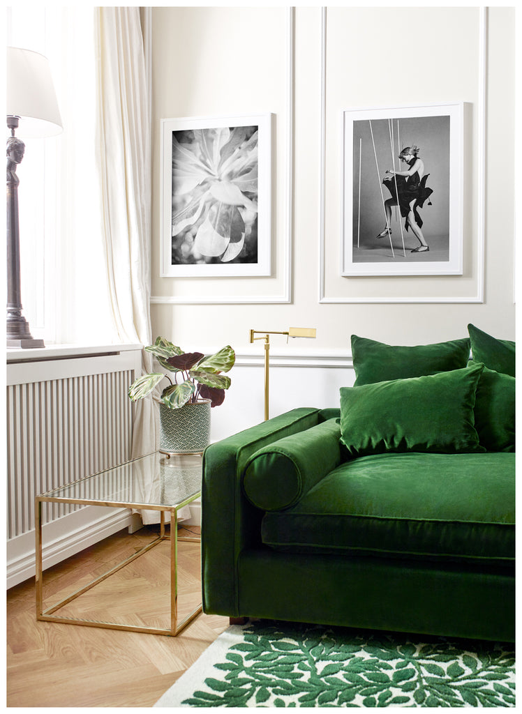 Analog photography in black and white on large leaves.  White frame. 