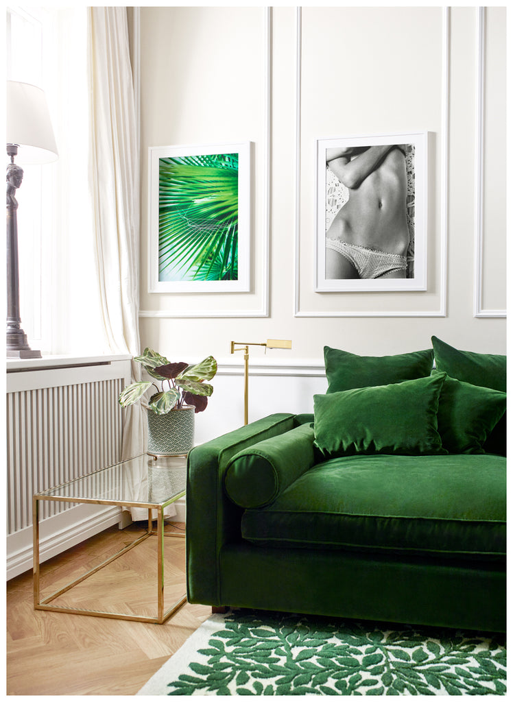 Color photography of palm leaves close up. White frame.