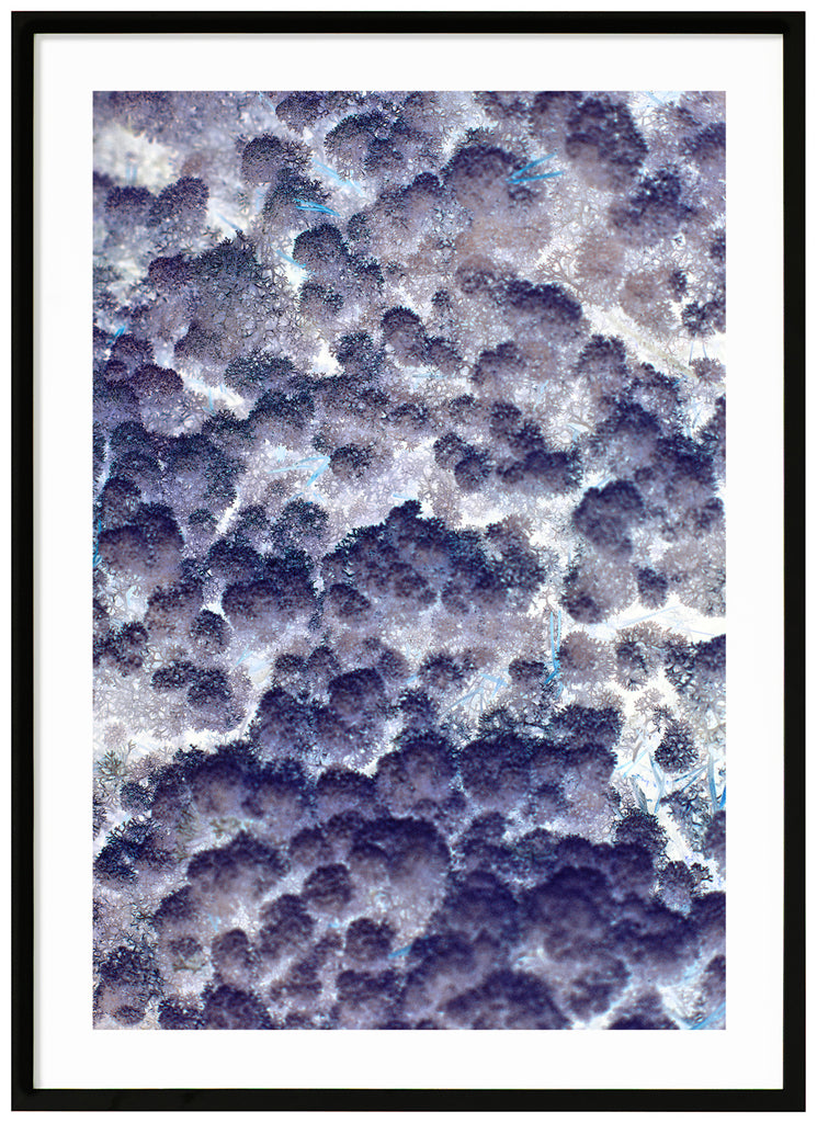 The poster has a blue white abstract motif. Black frame. 