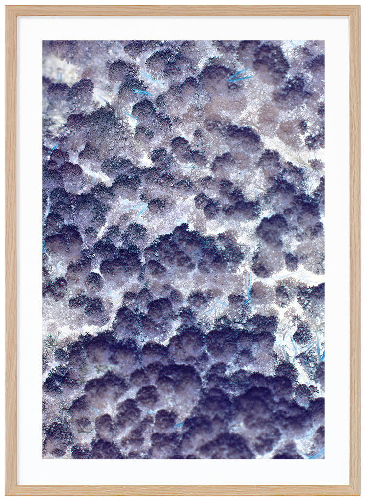 The poster has a blue white abstract motif. Oak frame. 