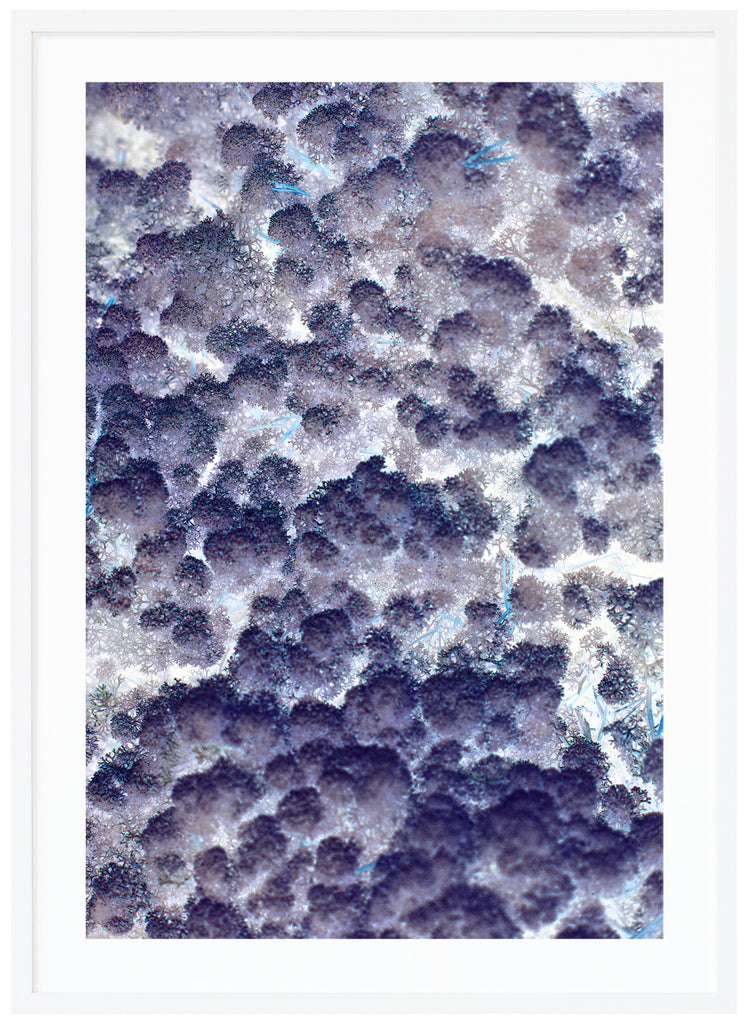 The poster has a blue white abstract motif. White frame.
