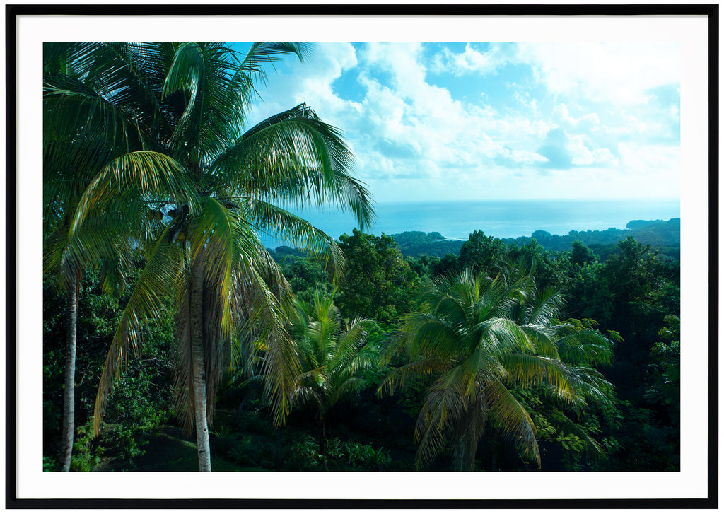 Jamaican Bliss