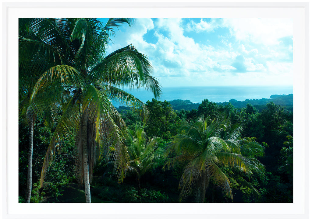 Jamaican Bliss