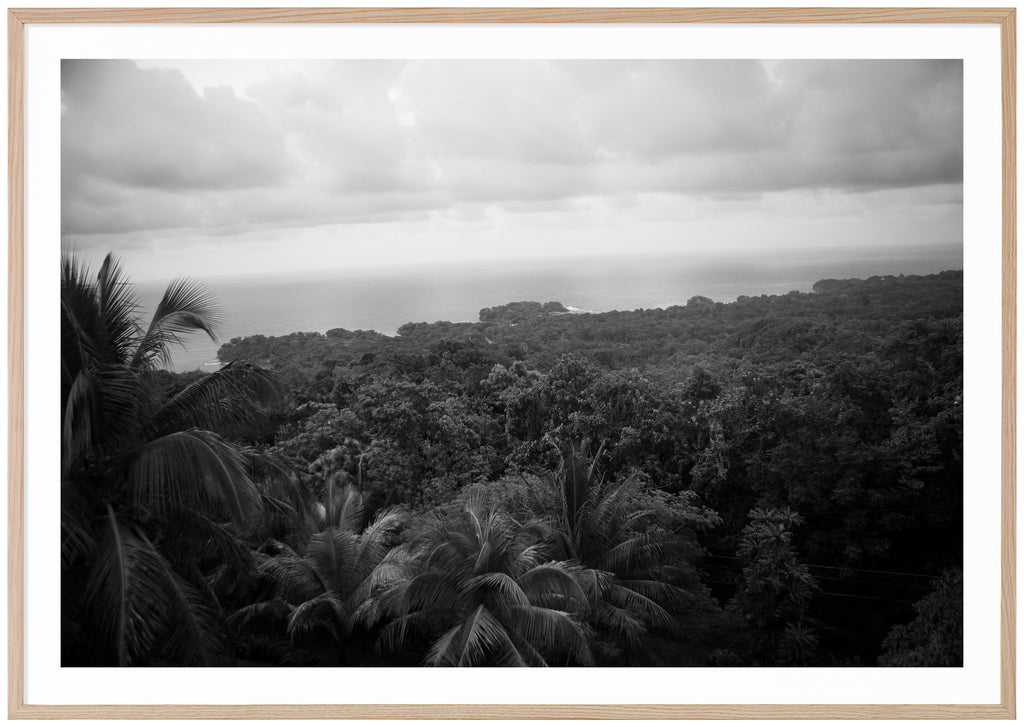 Jamaican Panorama