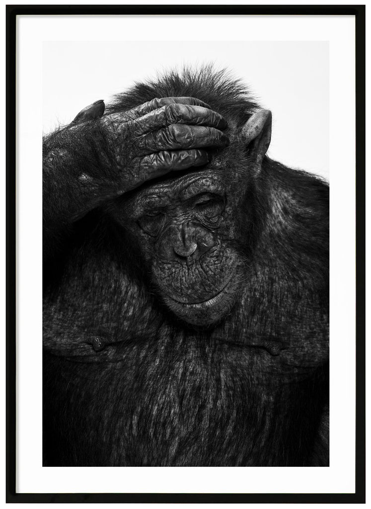 Black and white photograph of Sina. Black frame. 