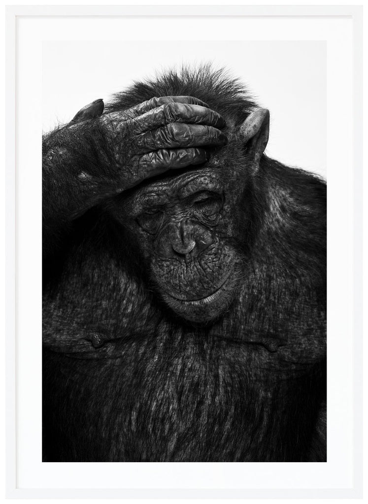 Black and white photograph of Sina. White frame. 