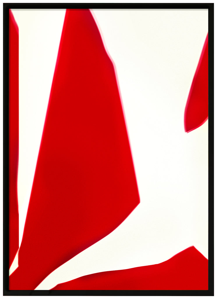 Items of outgoing motives. Abstract with red and white color. Portrait format. Black frame.