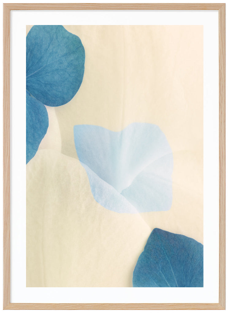 Color photography of blue and white flower petals with graphic elements in the motif. Oak frame. 