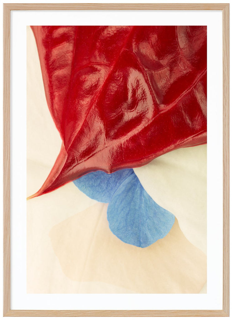 Color photography of red, white and blue leaves with a vague graphic element in the image.  Oak frame. 