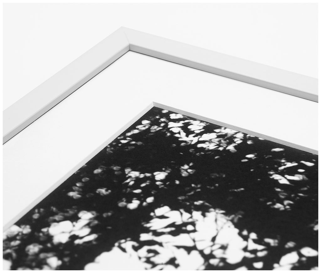 Picture Mat