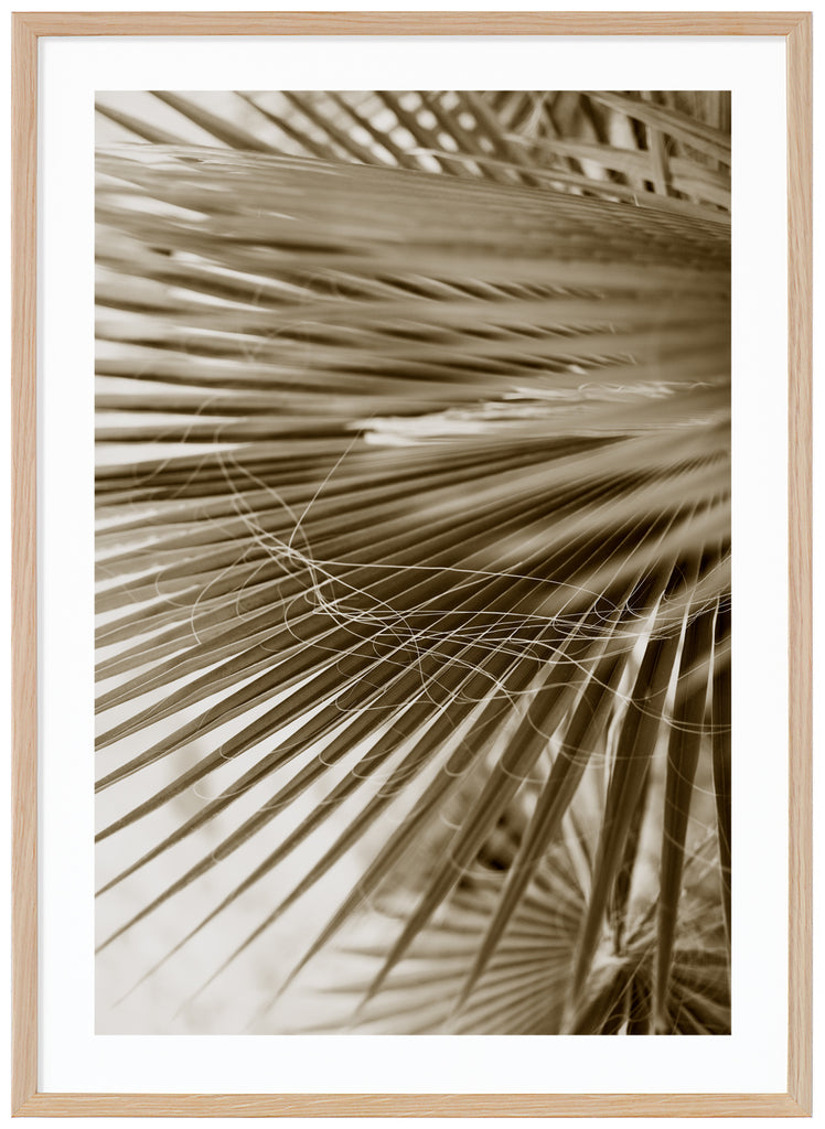 Color photograph of palm leaves in green beige tones.  Oak frame. 