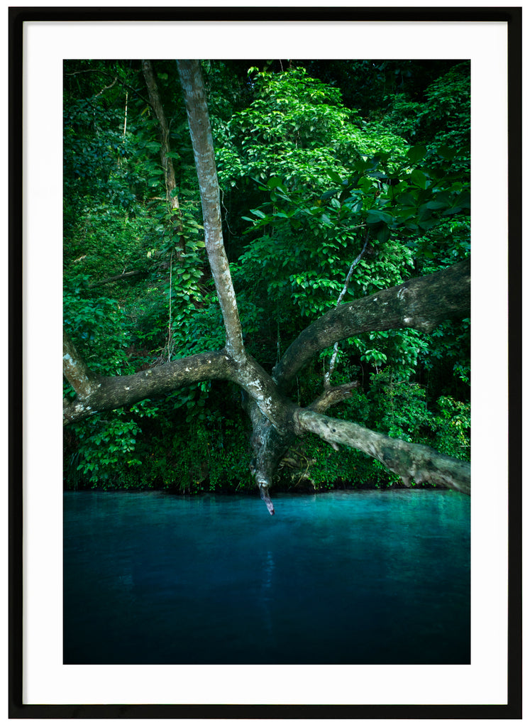 Rasta River