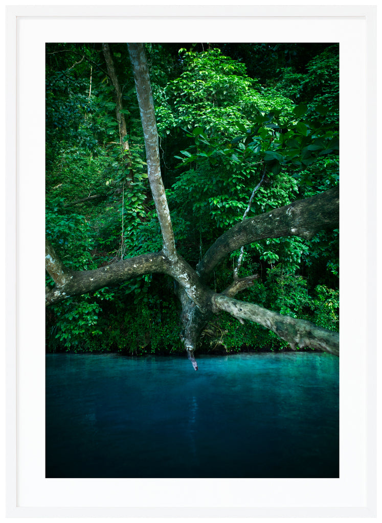 Rasta River