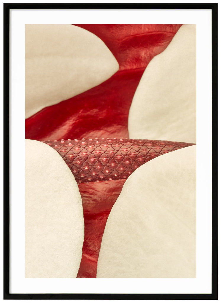 Photo art of red and white leaves. Black frame. 