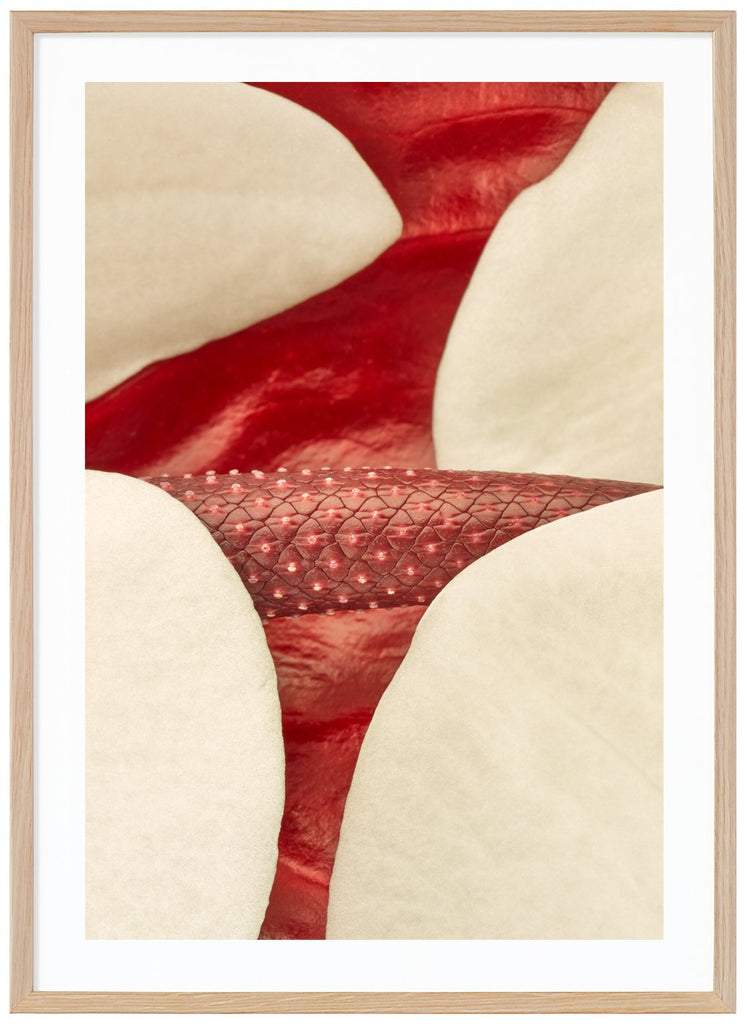 Photo art of red and white leaves. Oak frame. 