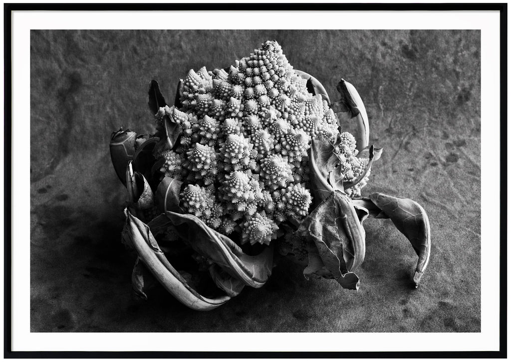 Still life in black and white of a romanesco head against a canvas background. Black frame.