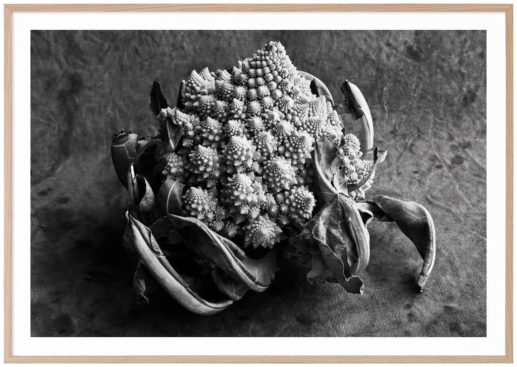 Still life in black and white of a romanesco head against a canvas background. Oak frame. 