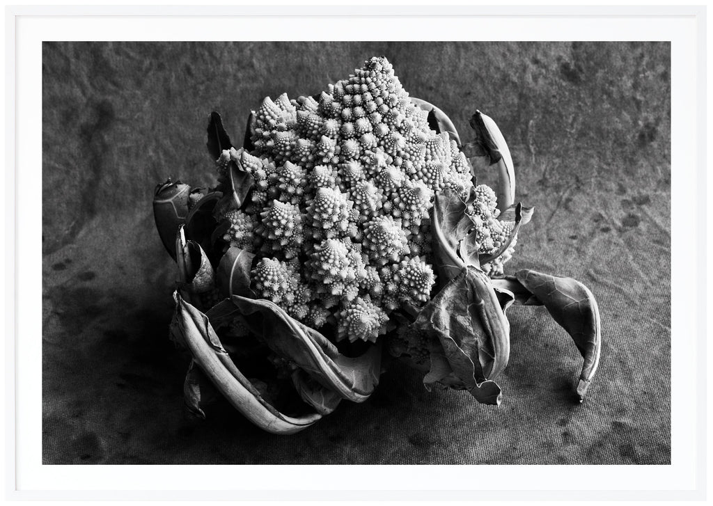 Still life in black and white of a romanesco head against a canvas background. White frame. 