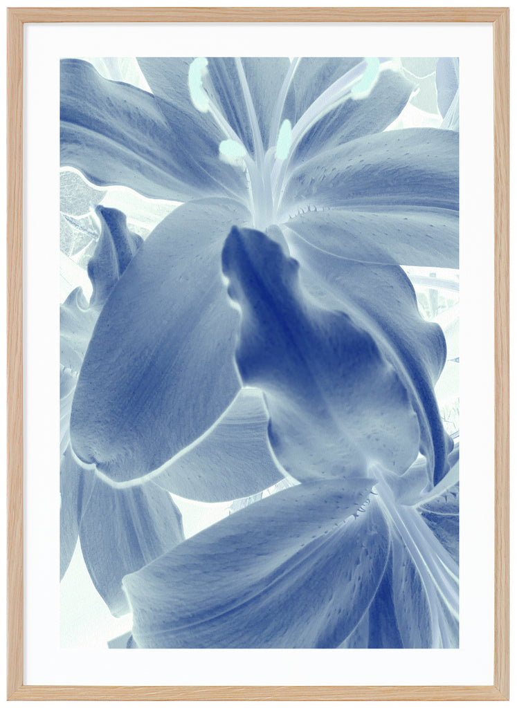 Surreal Lily