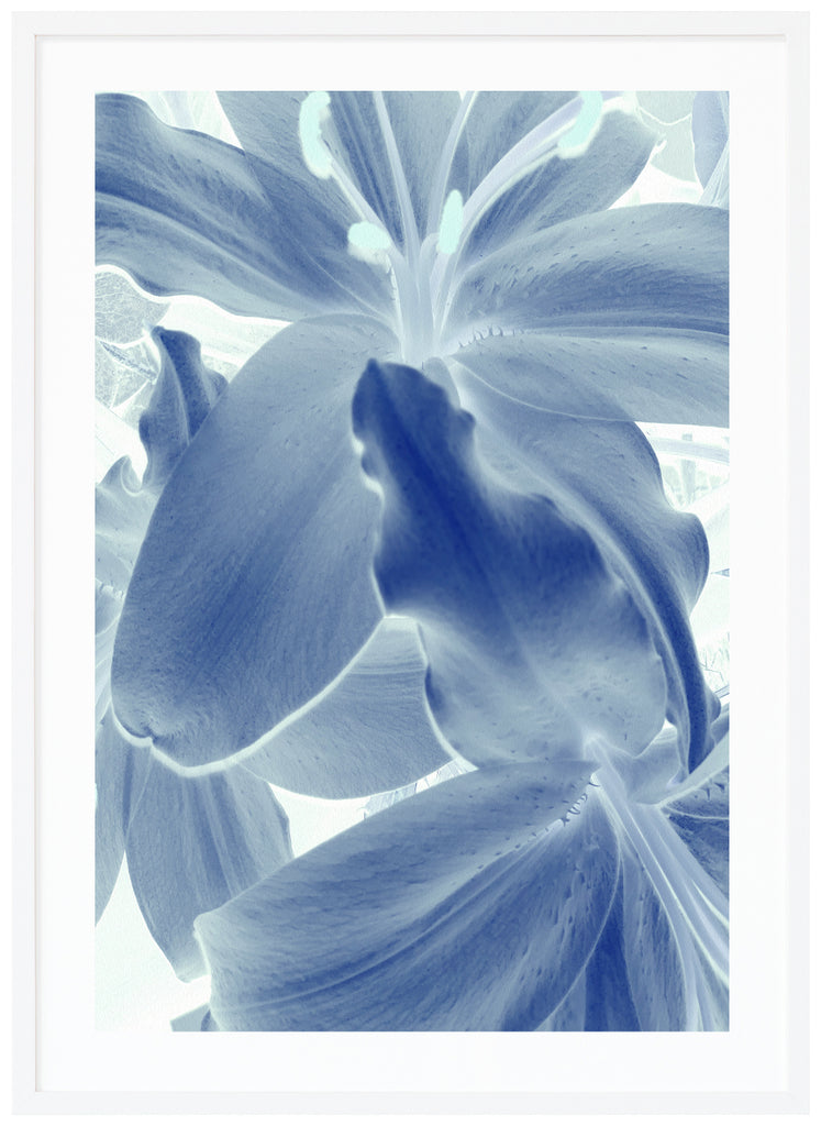 Surreal Lily