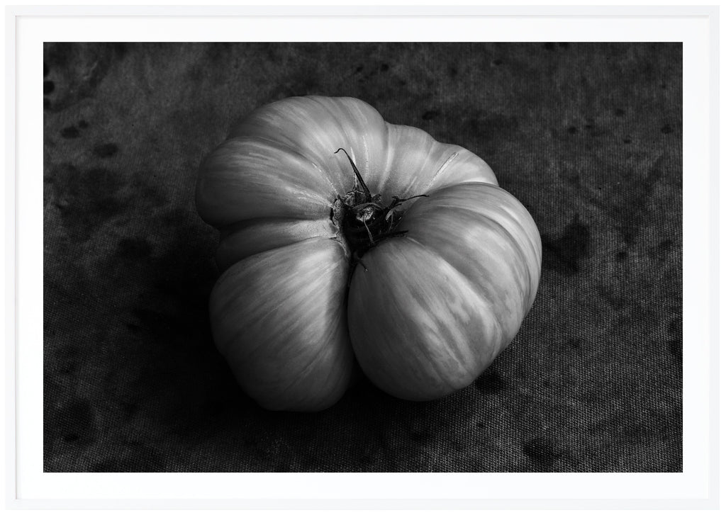 Black and white still life of a tomato.  White frame. 